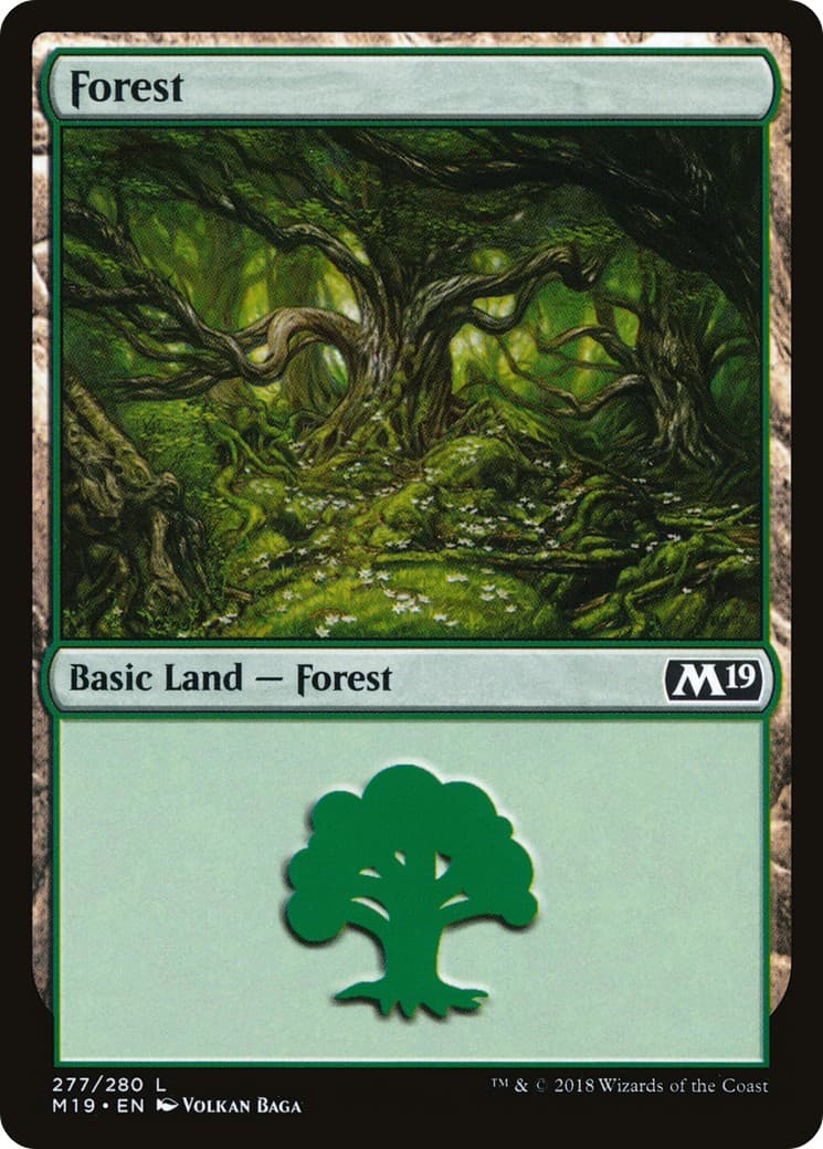 Forest - Image 1