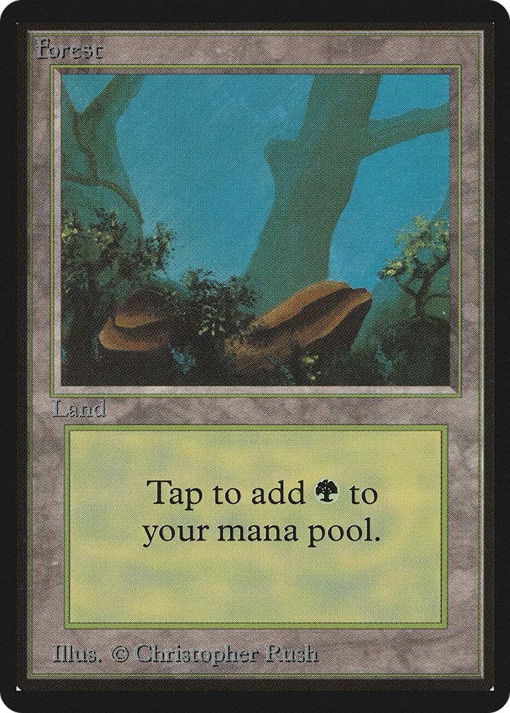 Forest - Image 1
