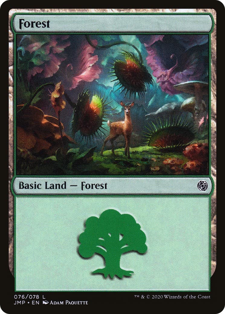 Forest - Image 1
