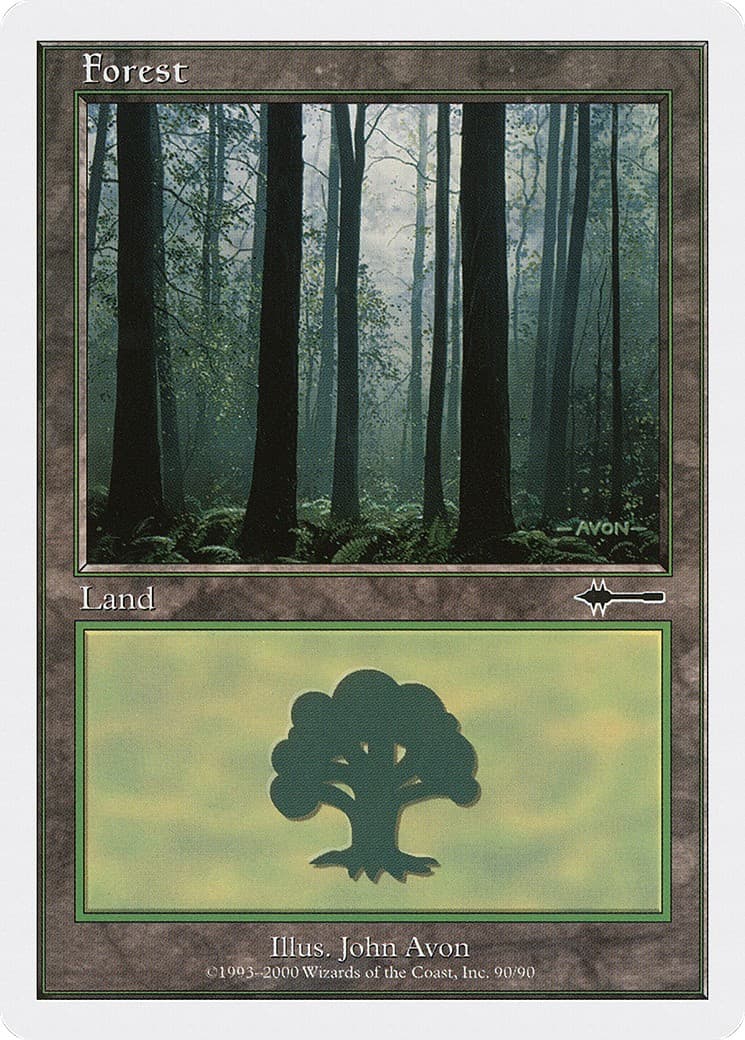 Forest - Image 1