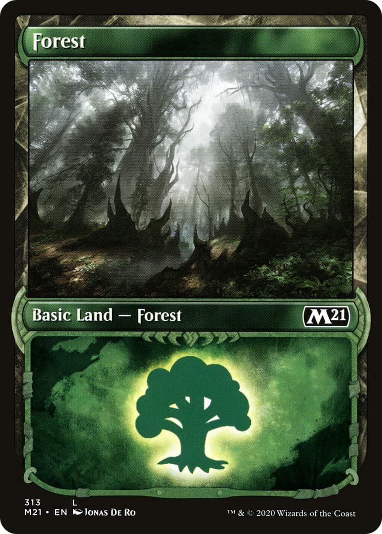 Forest - Image 1