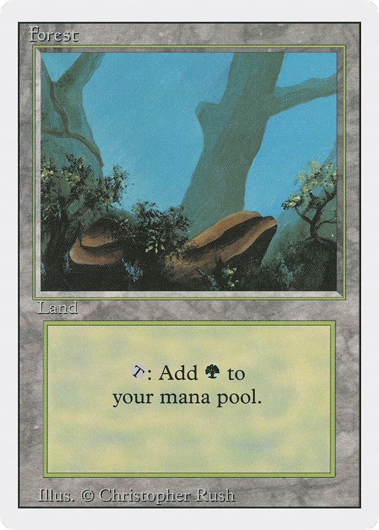 Forest - Image 1