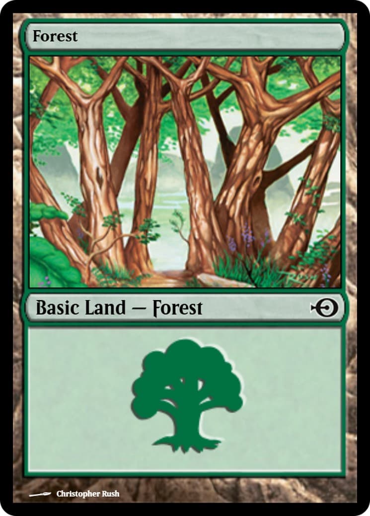 Forest - Image 1
