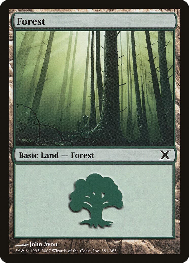 Forest - Image 1
