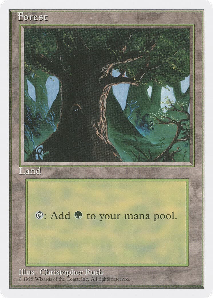 Forest - Image 1