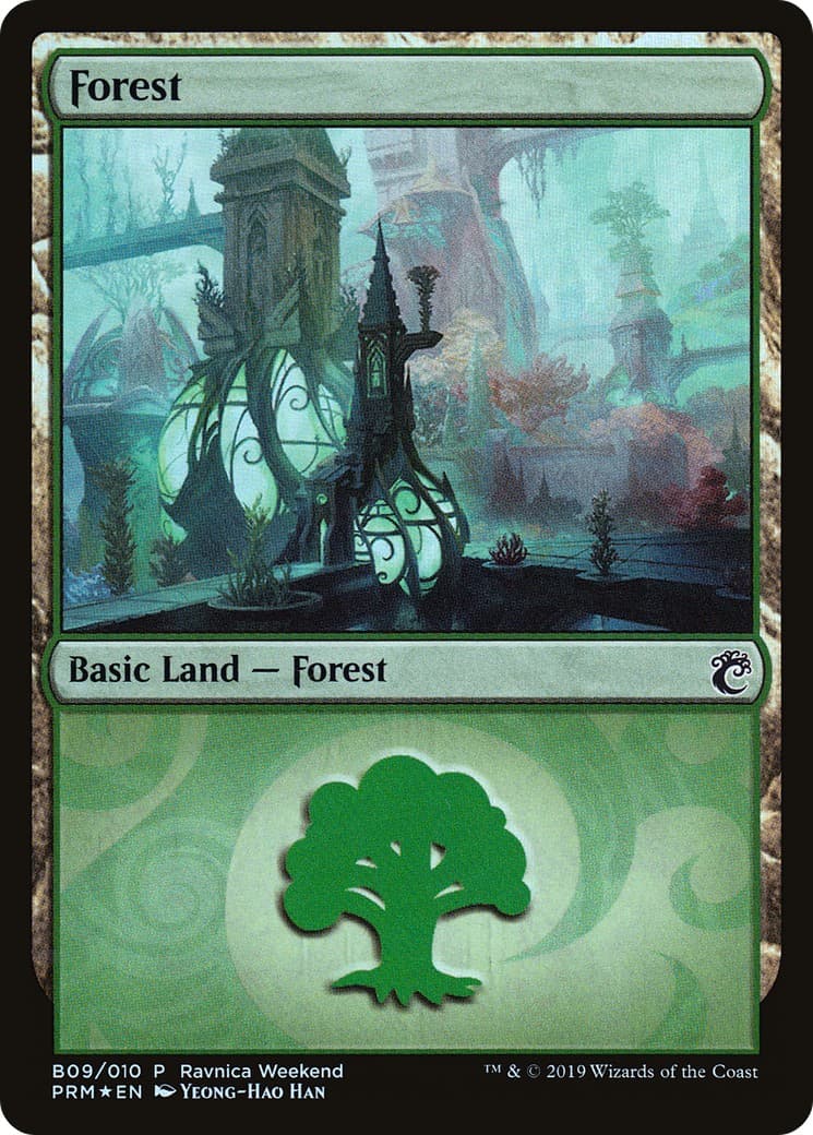 Forest - Image 1