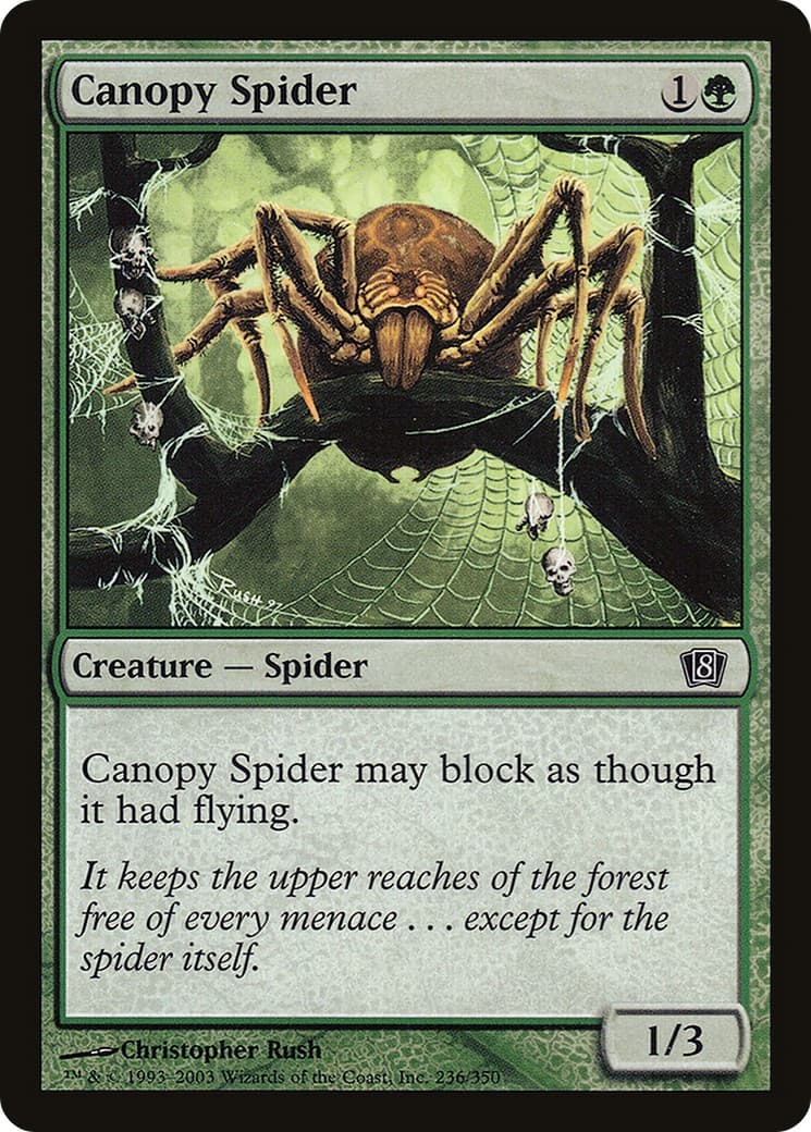 Canopy Spider - Image 1