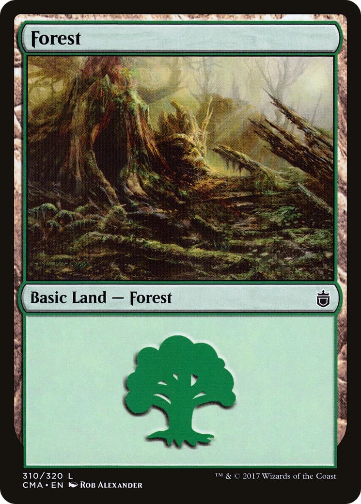 Forest - Image 1