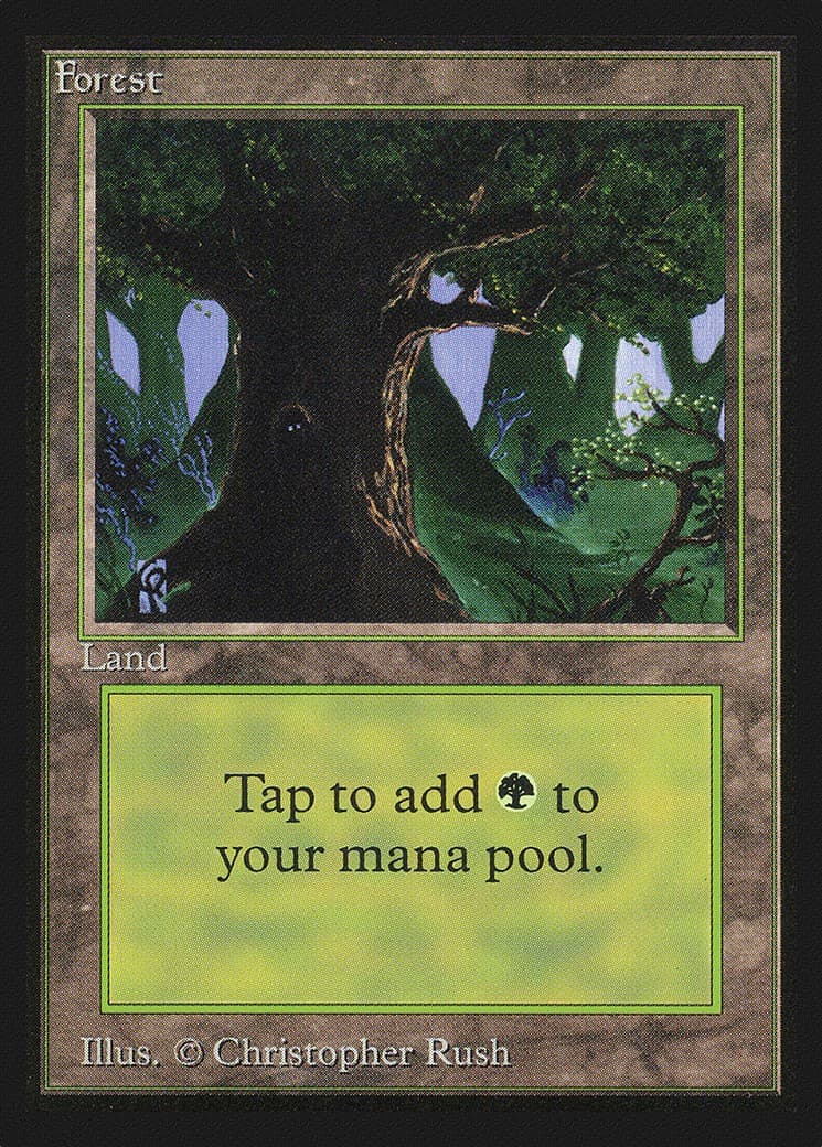 Forest - Image 1