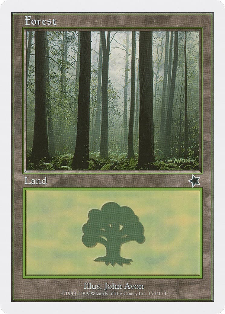 Forest - Image 1