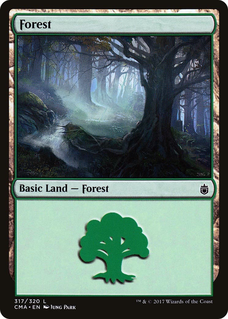Forest - Image 1