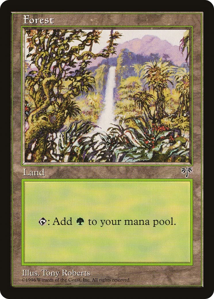 Forest - Image 1