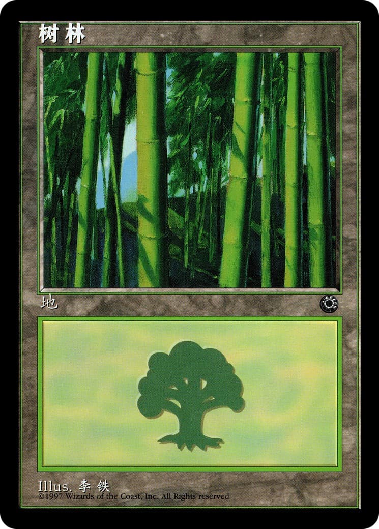 Forest - Image 1