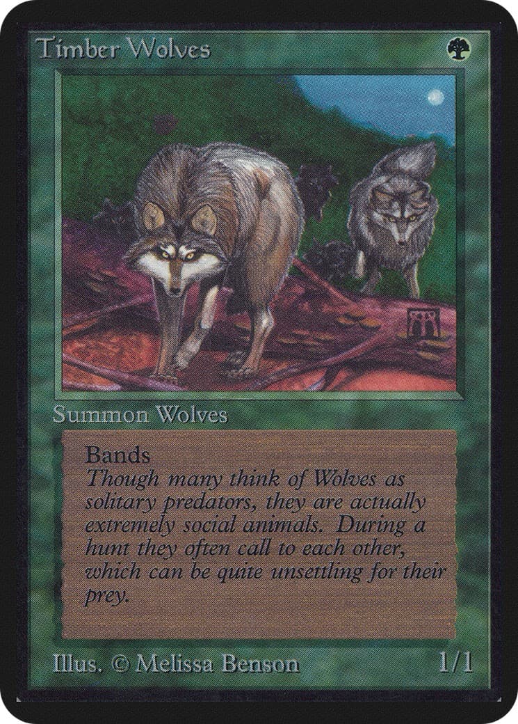 Timber Wolves - Image 1