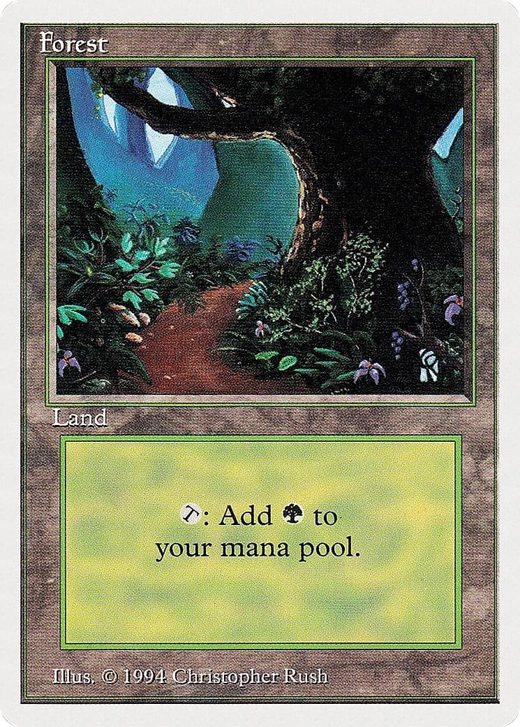 Forest - Image 1