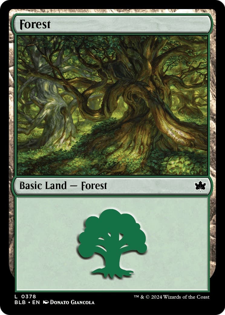 Forest - Image 1