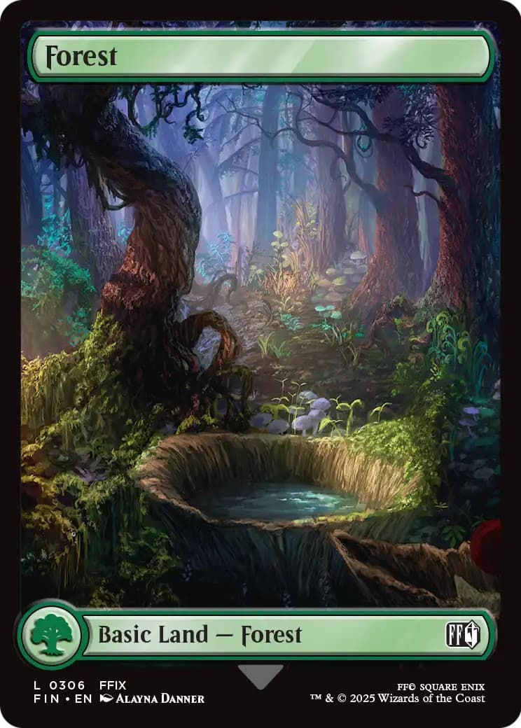 Forest - Image 1