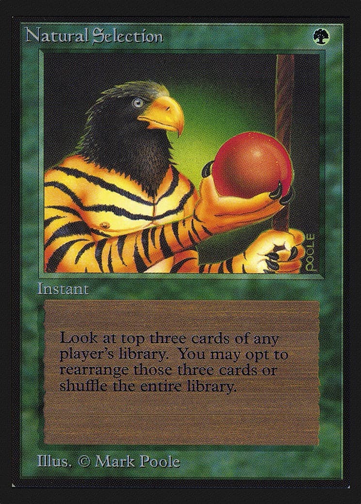 Natural Selection - Image 1