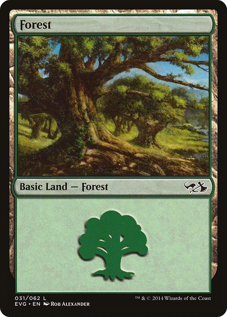 Forest - Image 1