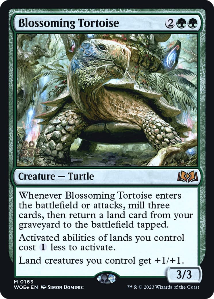 Blossoming Tortoise - Image 1