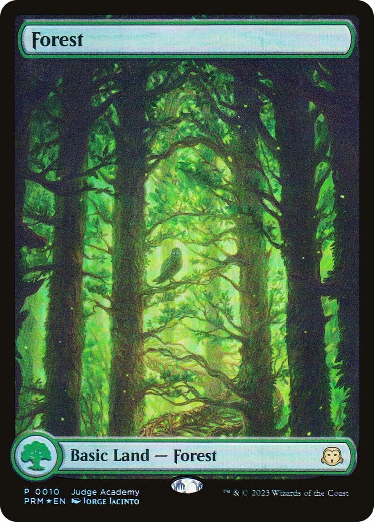 Forest - Image 1