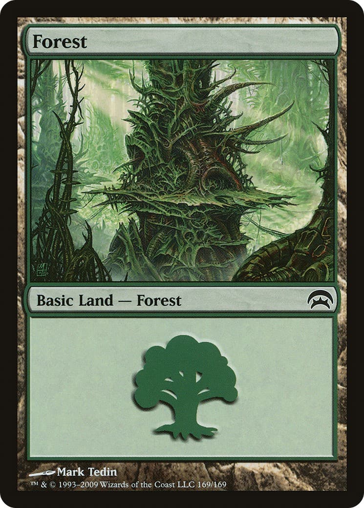 Forest - Image 1