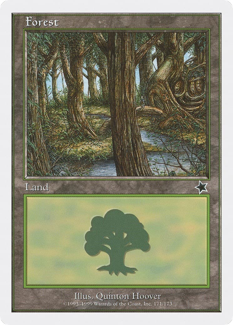 Forest - Image 1