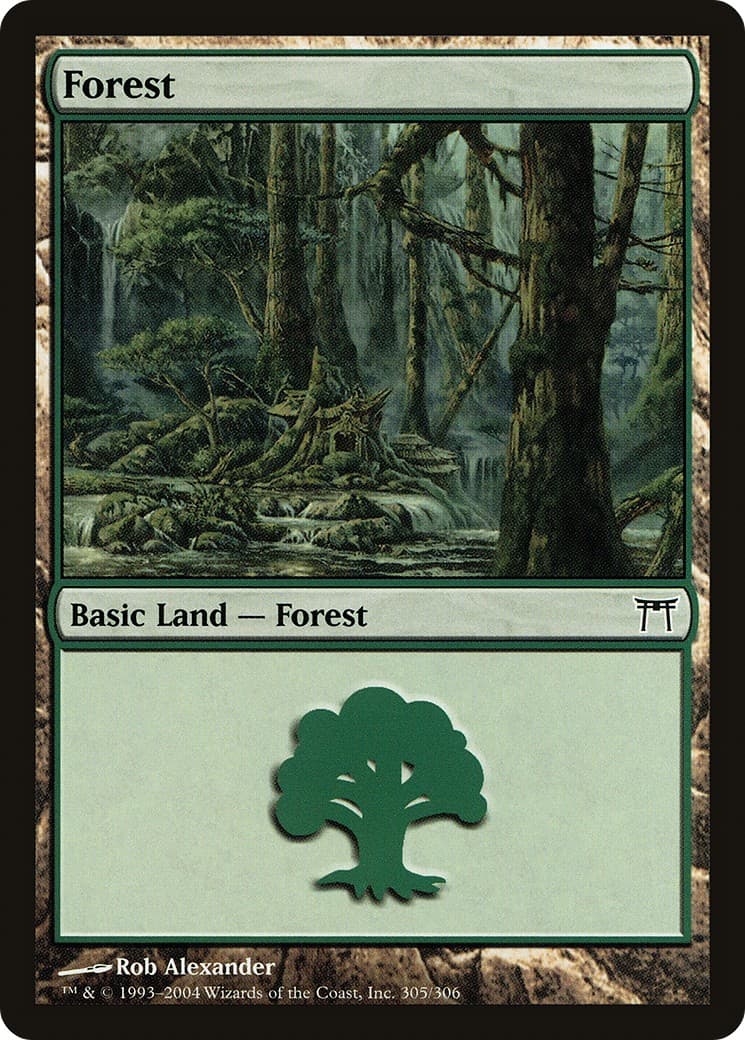 Forest - Image 1