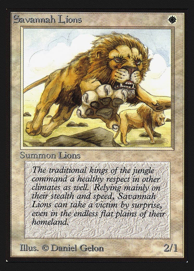 Savannah Lions - Image 1