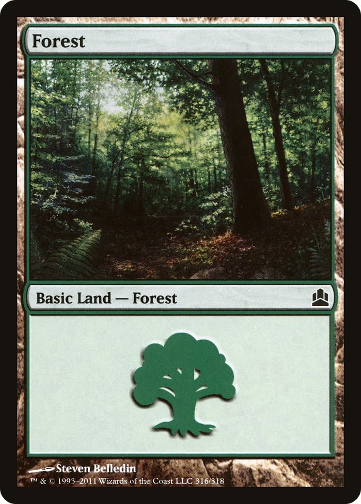 Forest - Image 1