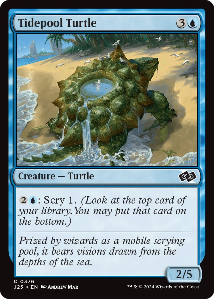 Tidepool Turtle - Image 1