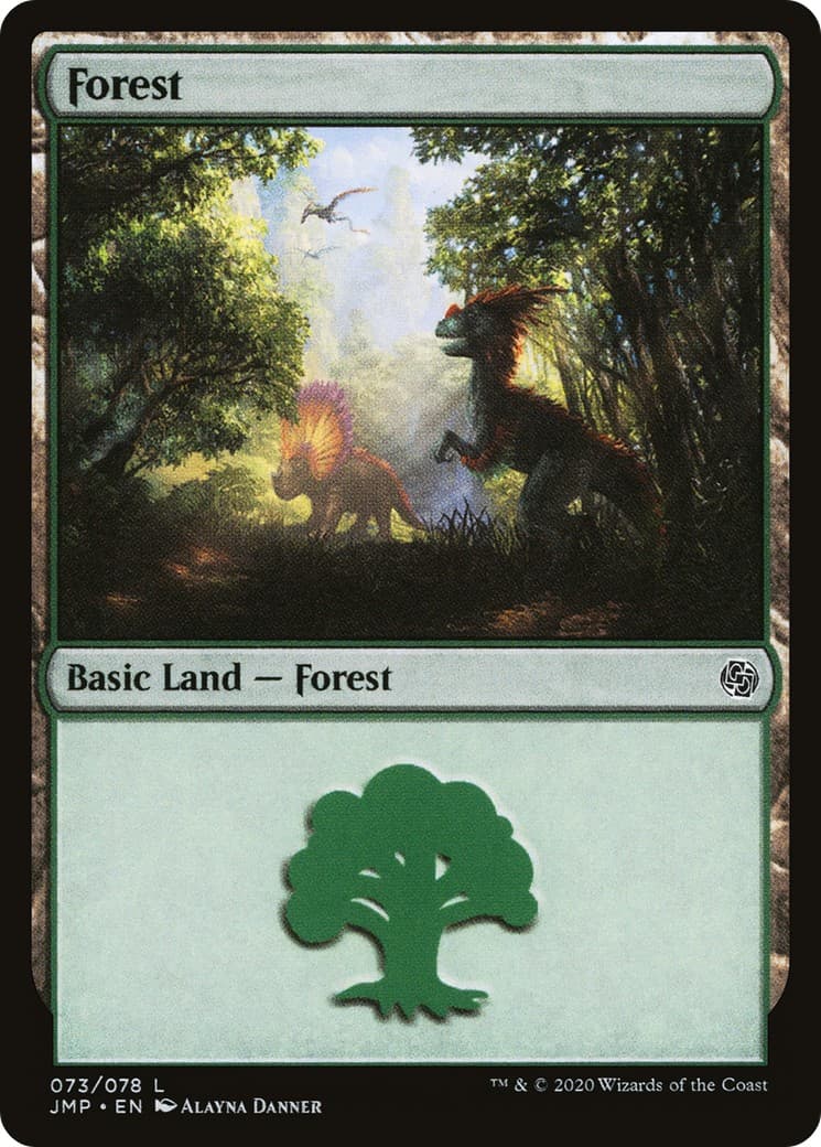 Forest - Image 1