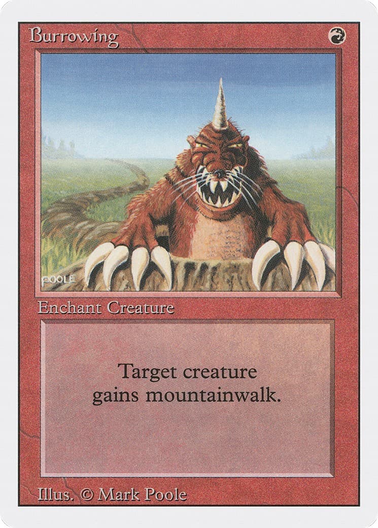 Burrowing - Image 1