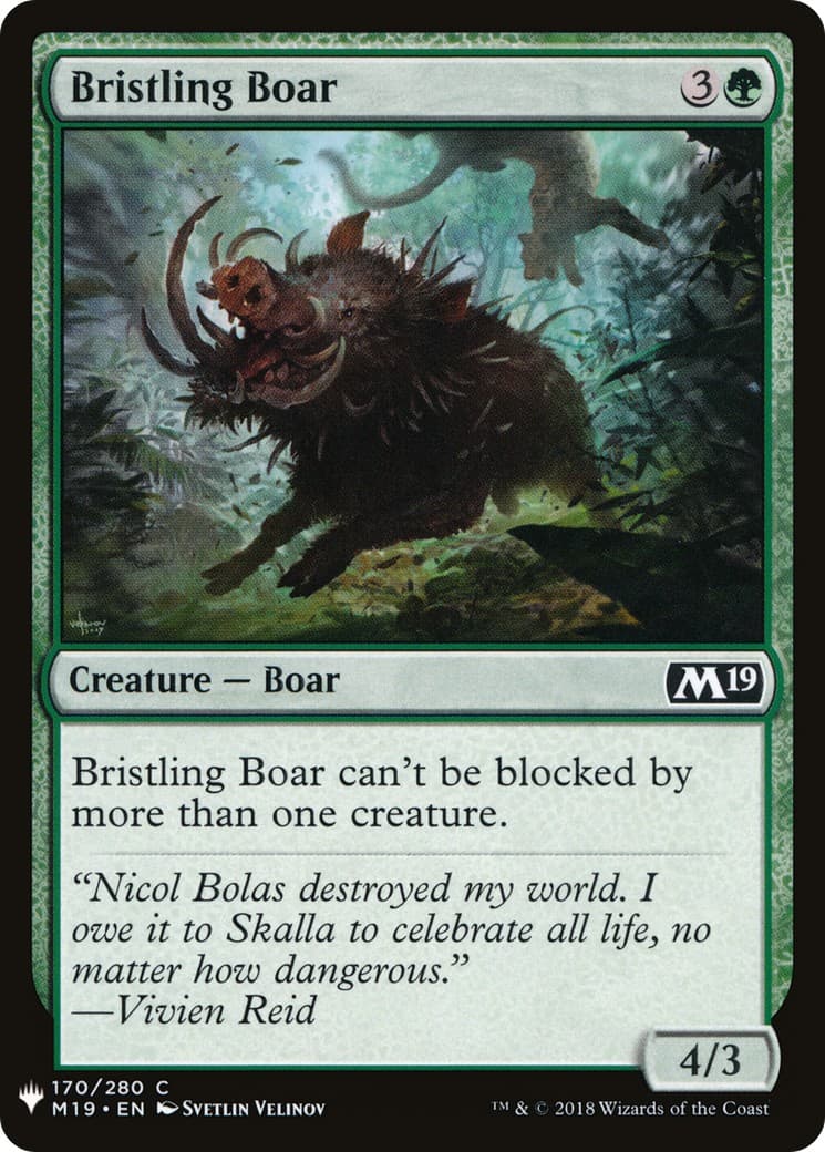 Bristling Boar - Image 1