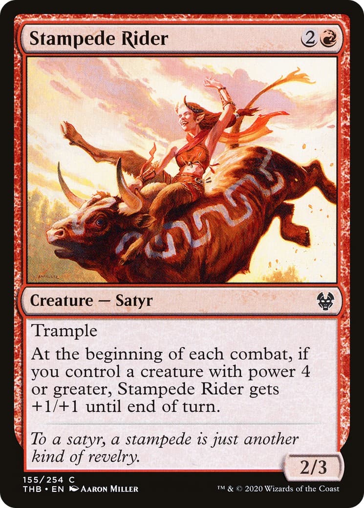 Stampede Rider - Image 1