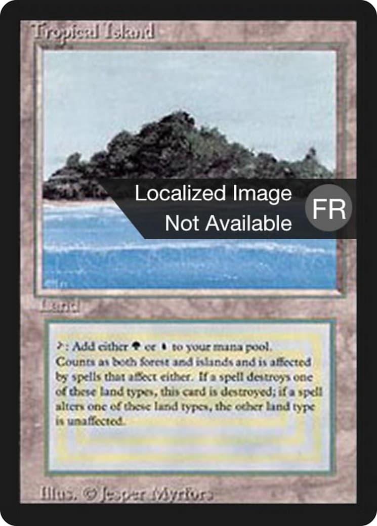 Tropical Island - Image 1