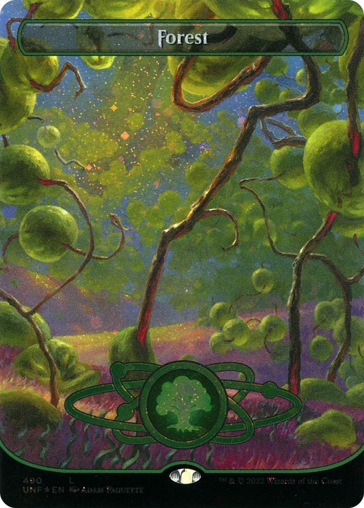 Forest - Image 1