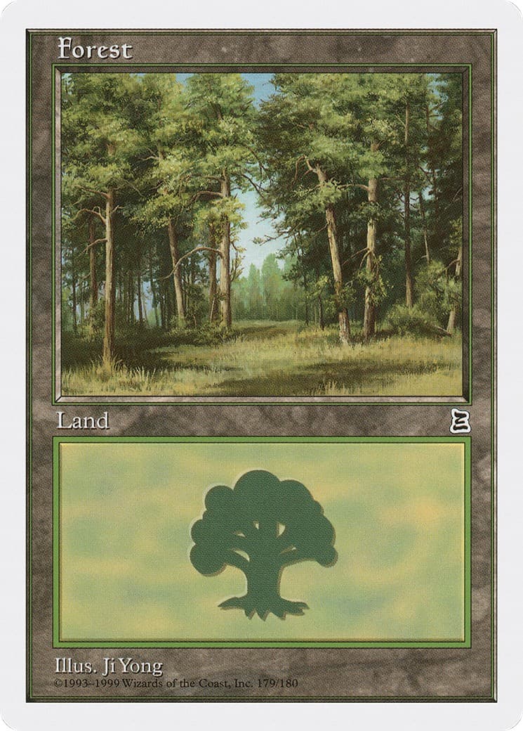 Forest - Image 1