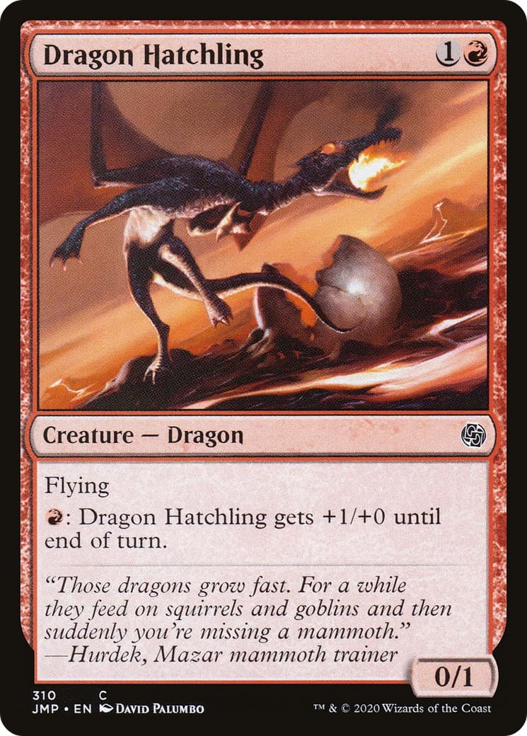 Dragon Hatchling - Image 1