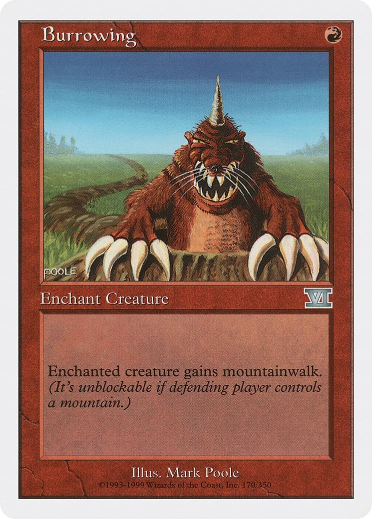 Burrowing - Image 1