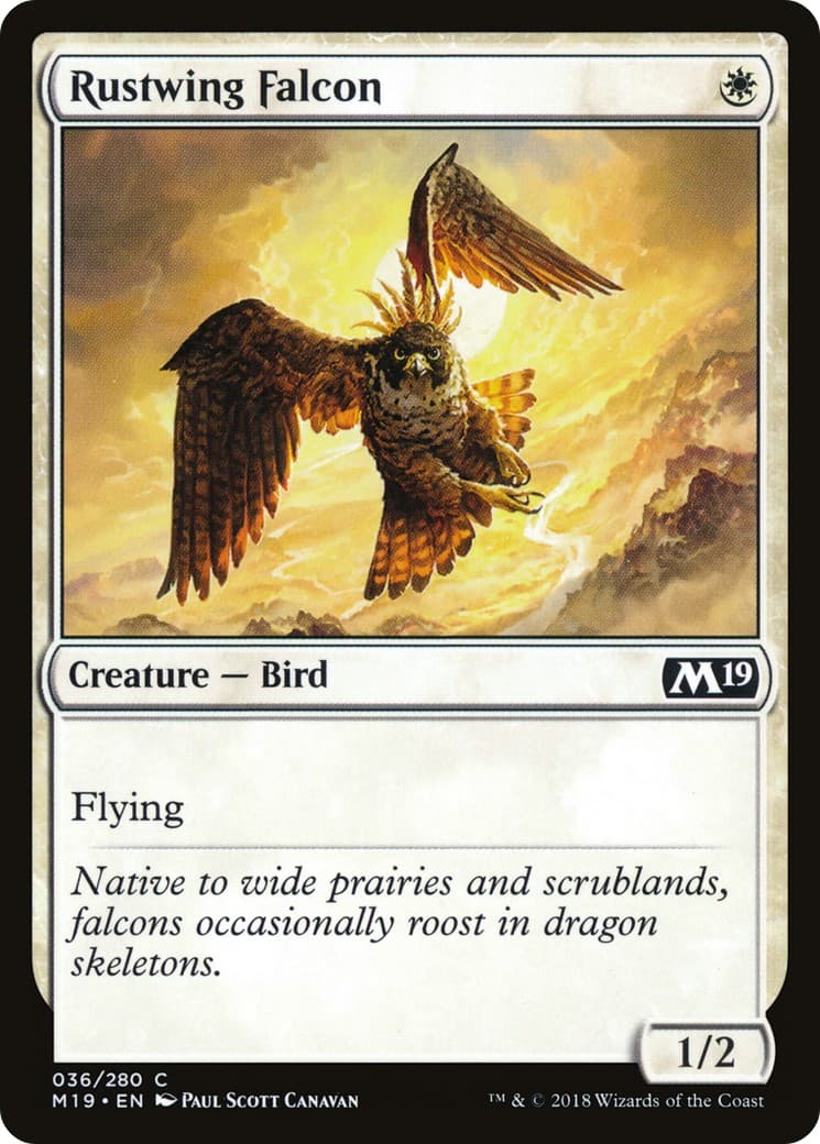 Rustwing Falcon - Image 1