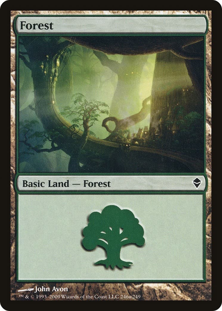 Forest - Image 1
