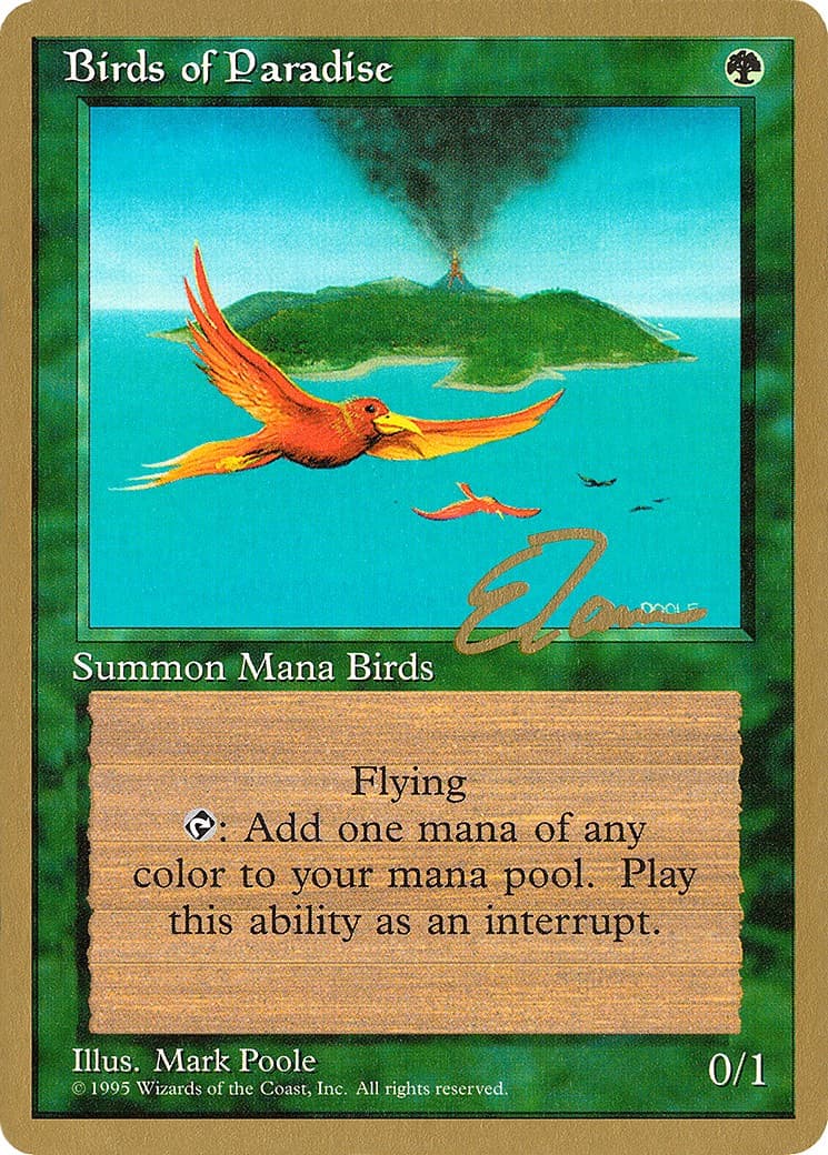 Birds of Paradise - Image 1