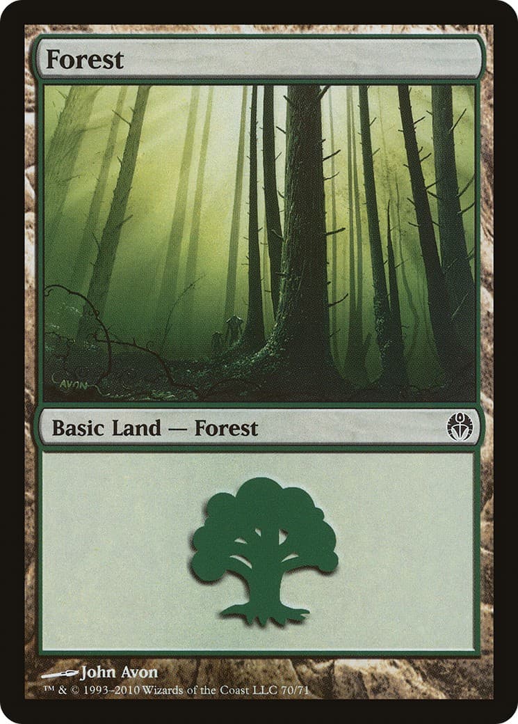 Forest - Image 1