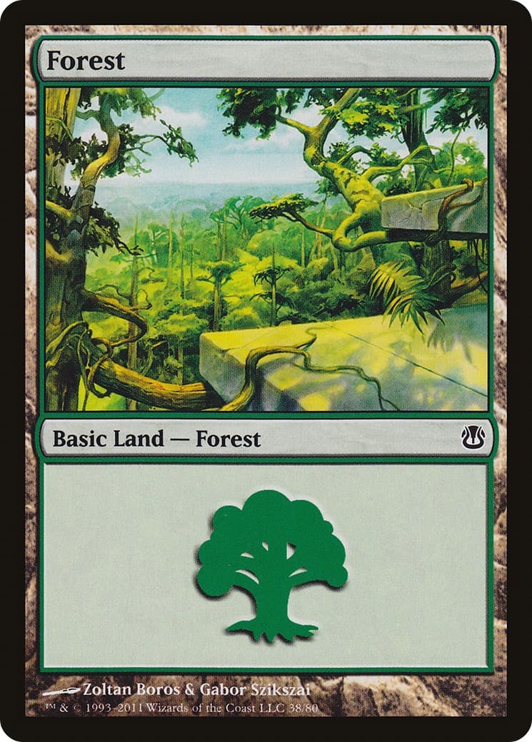 Forest - Image 1