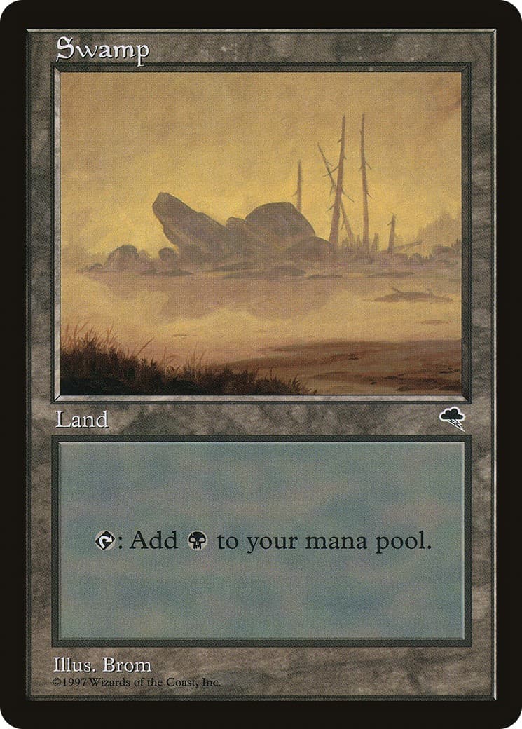 Swamp - Image 1