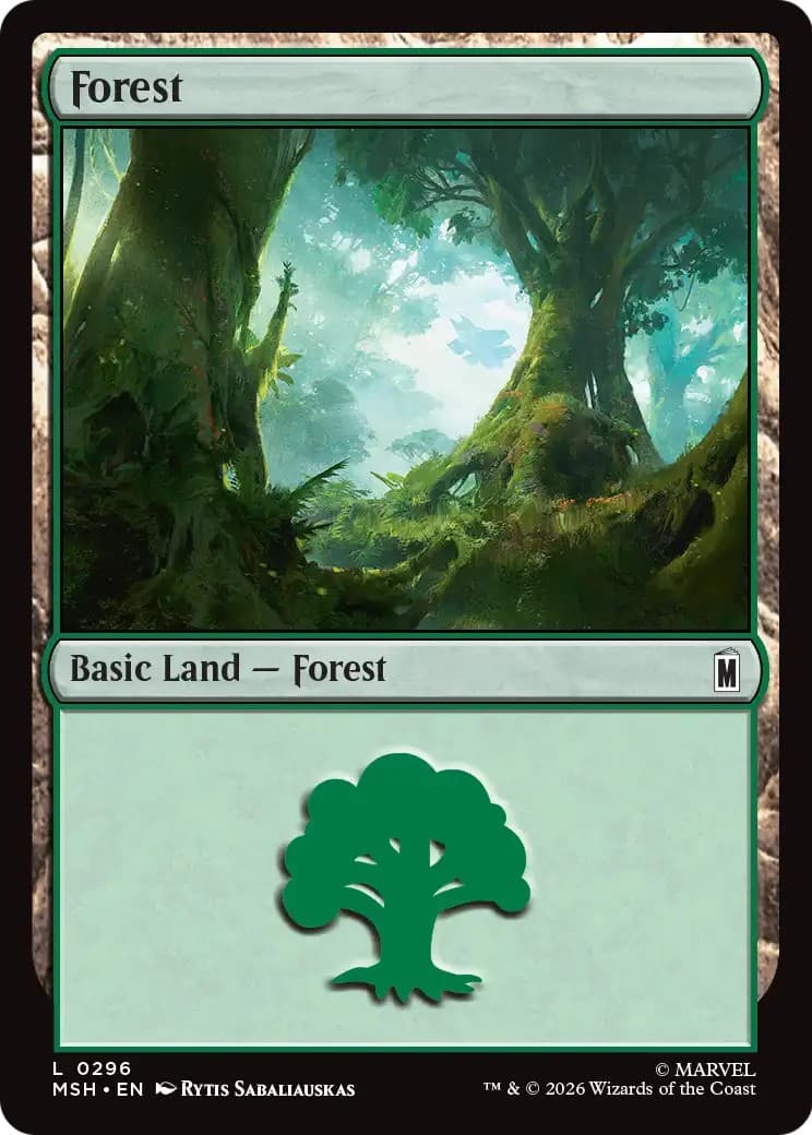 Forest - Image 1