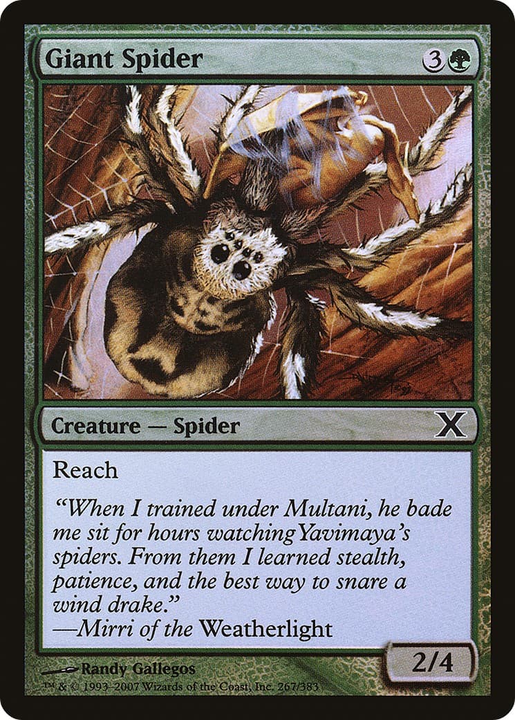 Giant Spider - Image 1