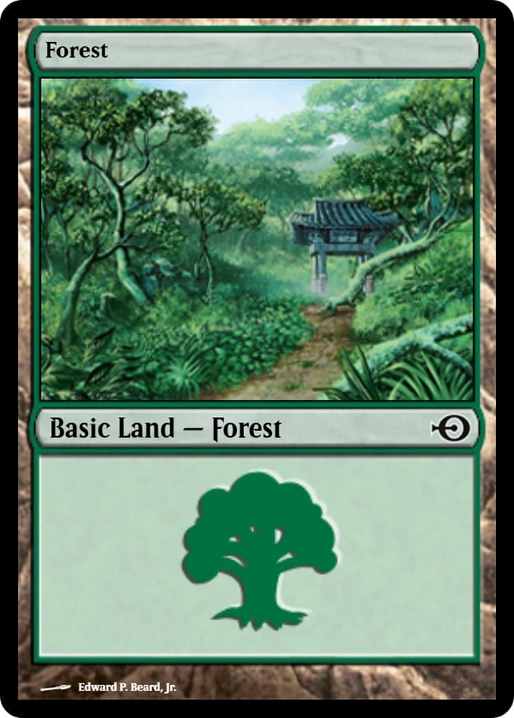 Forest - Image 1