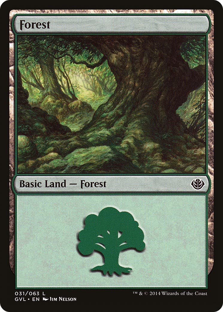 Forest - Image 1